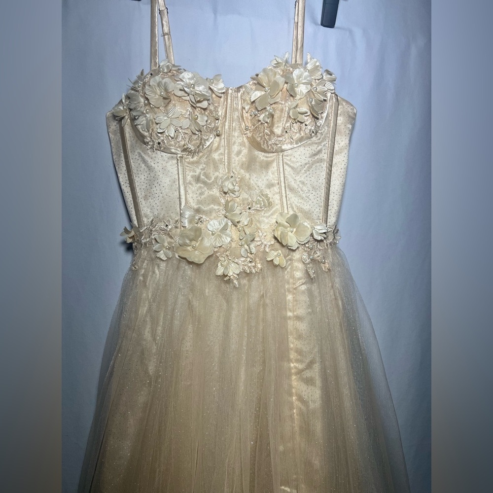 Lavetir Champagne 3D Floral Corset Top Dress | S NWT - Picture 8 of 16
